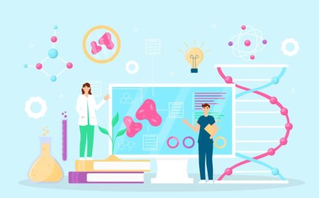The Role of Data Scientists: Skills and Responsibilities