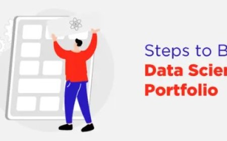 A Step-by-Step Guide to Building a Data Science Portfolio
