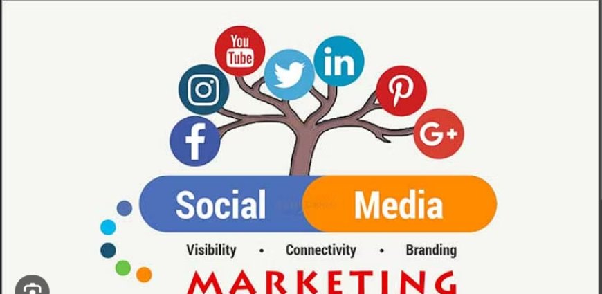 Exploring the Power of Social Media in Digital Marketing Campaigns