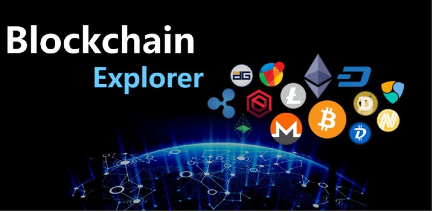 What Is a Blockchain Explorer and How to Use It?