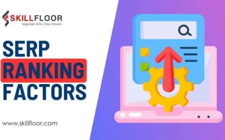 Top SERP Ranking Factors You Need to Know for 2024