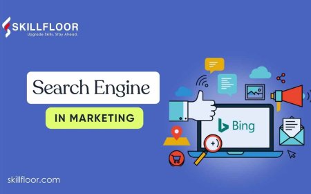 Understanding the Role of a Search Engine in Marketing