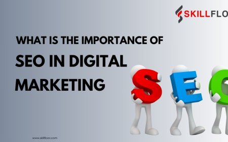 What Is the Importance of SEO in Digital Marketing