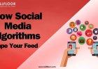 Impact of Social Media Algorithms on User Behavior