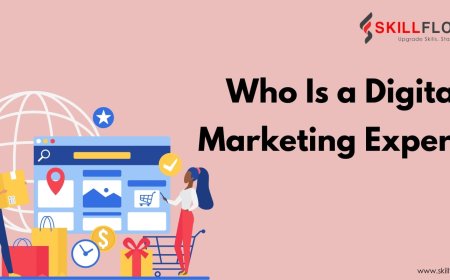 Who Is a Digital Marketing Expert