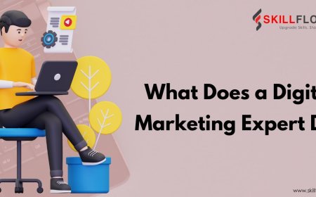 What Does a Digital Marketing Expert Do