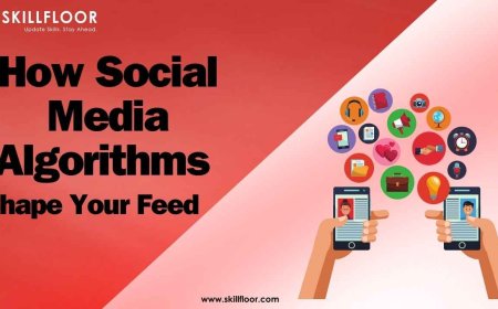 Impact of Social Media Algorithms on User Behavior