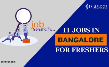 IT jobs in Bangalore for freshers