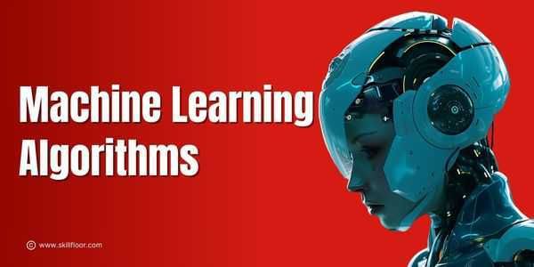 Major types of Machine Learning Algorithms