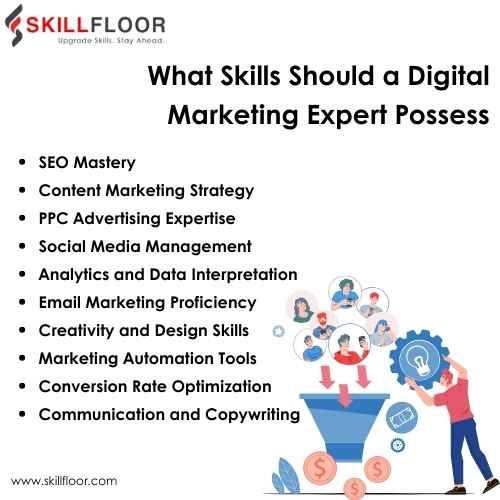 What skills should a digital marketing expert possess