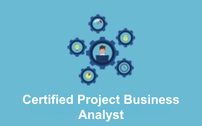 Certified Project Business Analyst