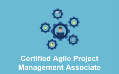 Certified Agile Project Management Associate